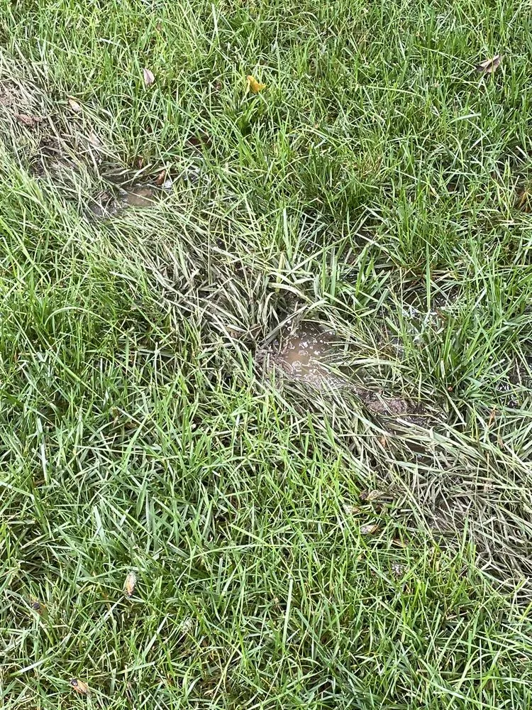 Reliable landscape design for beautiful yards across Elkridge, MD - Agro Lawn