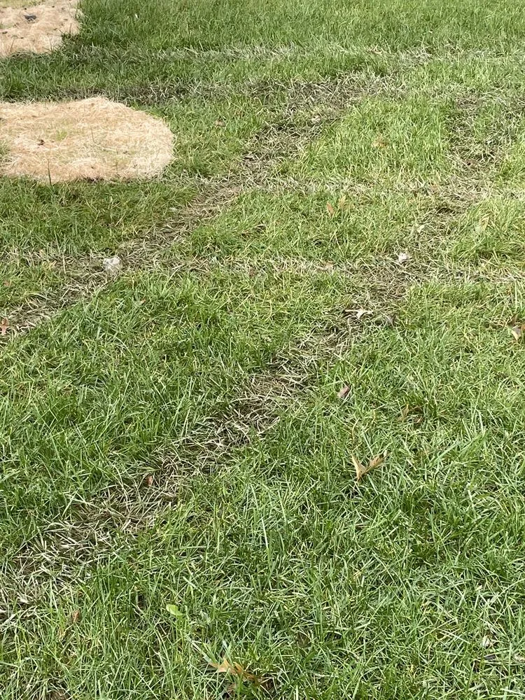 Reliable lawn care service with custom design in Elkridge, MD by Agro Lawn