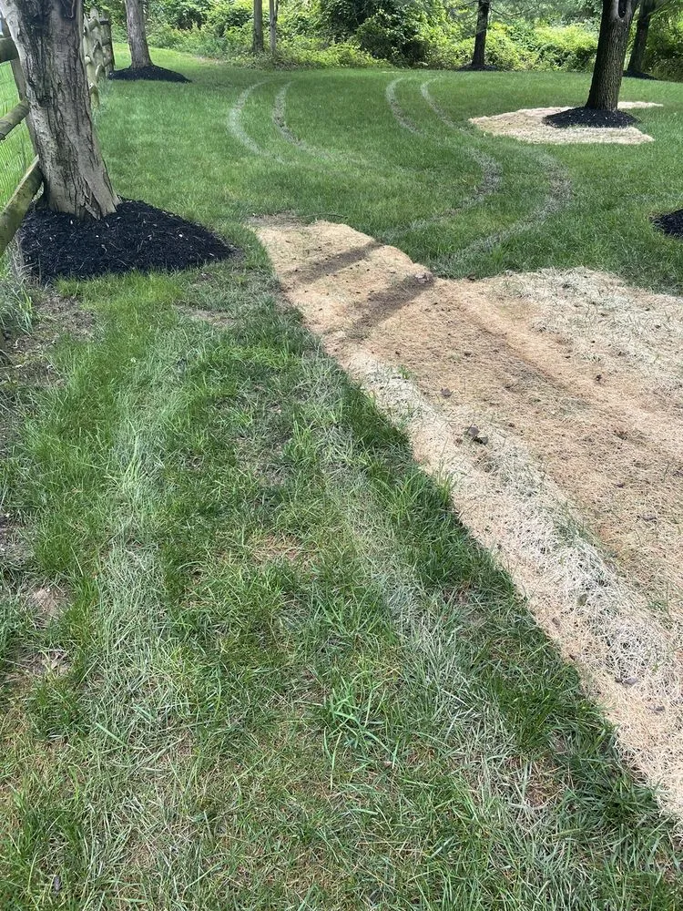 Professional yard maintenance for homes in Elkridge, MD by Agro Lawn