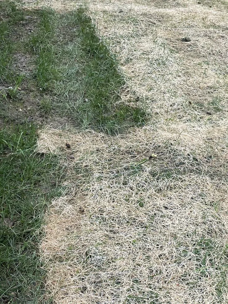 Trusted landscape installation experts serving Elkridge, MD - Agro Lawn