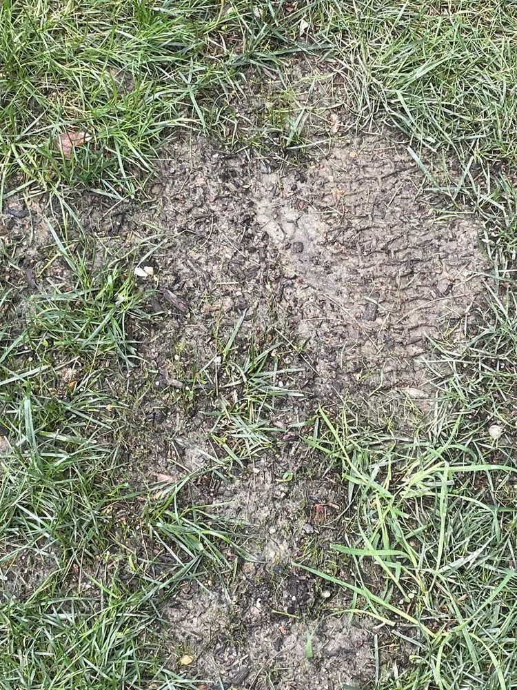 Affordable garden landscaping in Elkridge, MD - Agro Lawn