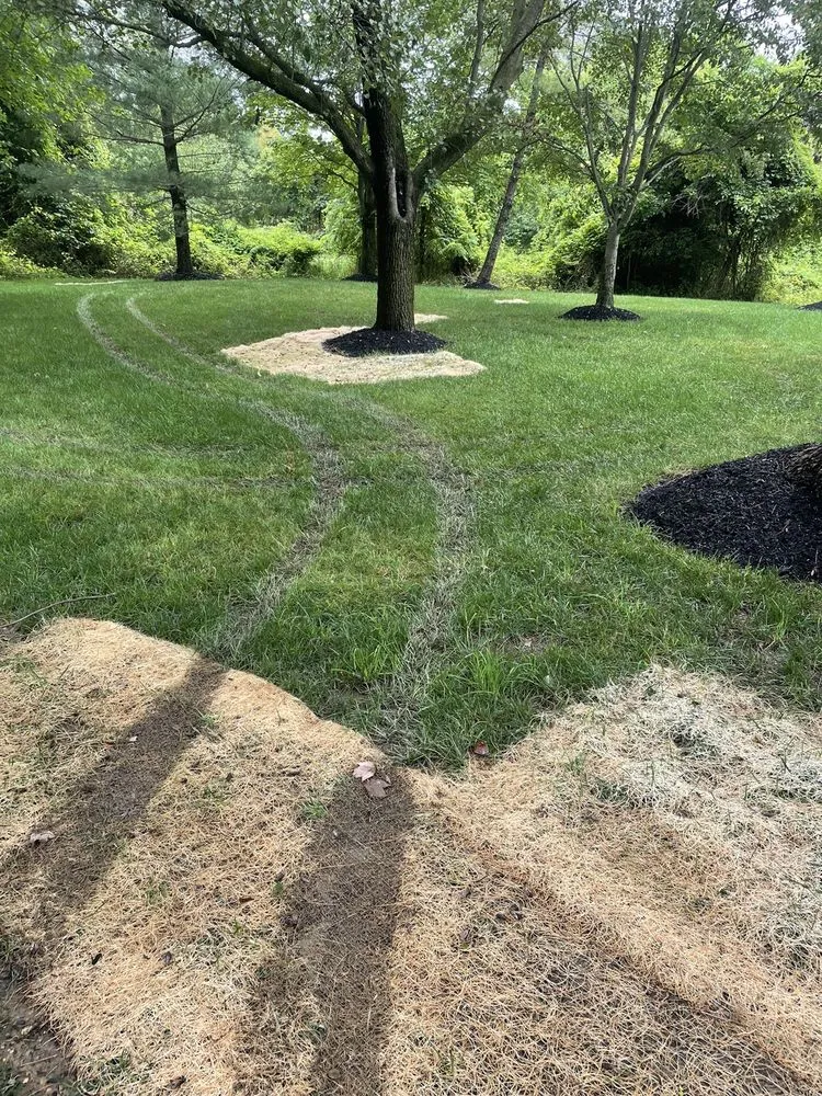 Reliable residential landscaping in Elkridge, MD - Agro Lawn