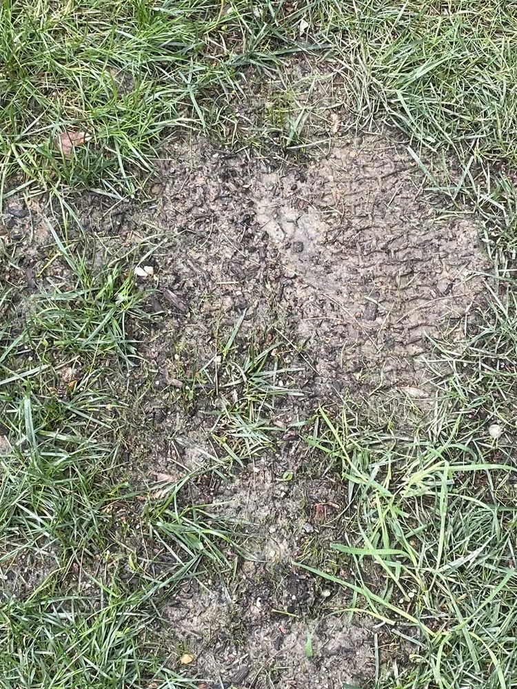 Affordable outdoor landscaping for year-round maintenance across Elkridge, MD - Agro Lawn