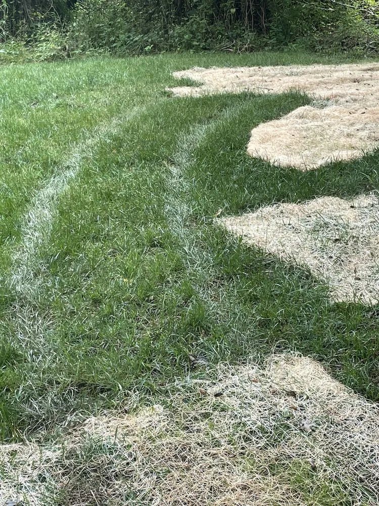 Custom yard cleanup service for outdoor upgrades across Elkridge, MD - Agro Lawn