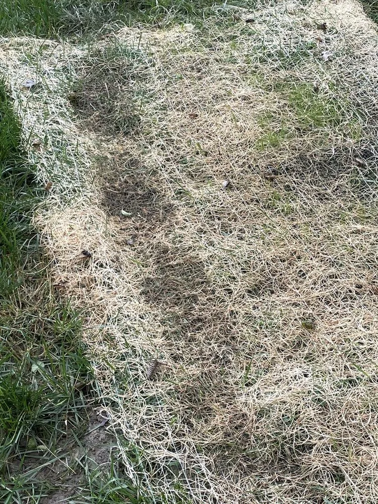 Reliable residential landscaping experts serving Elkridge, MD - Agro Lawn