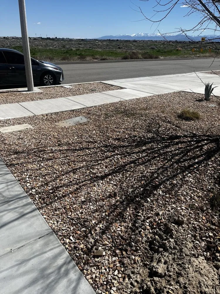 Custom lawn mowing service in Lancaster, CA by Agro-Tech Landscape Construction