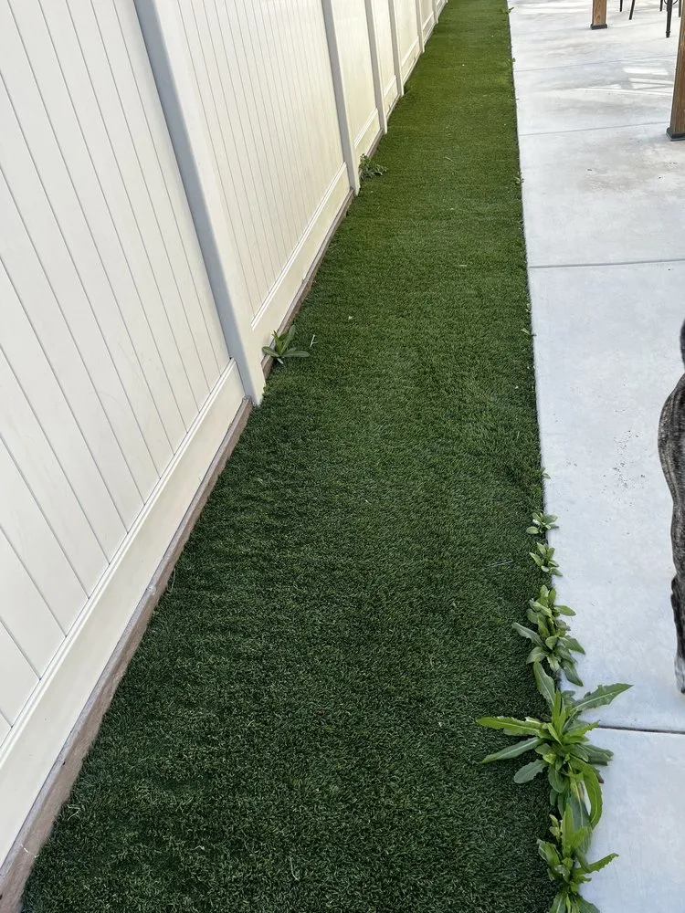 Expert yard cleanup service in Lancaster, CA by Agro-Tech Landscape Construction