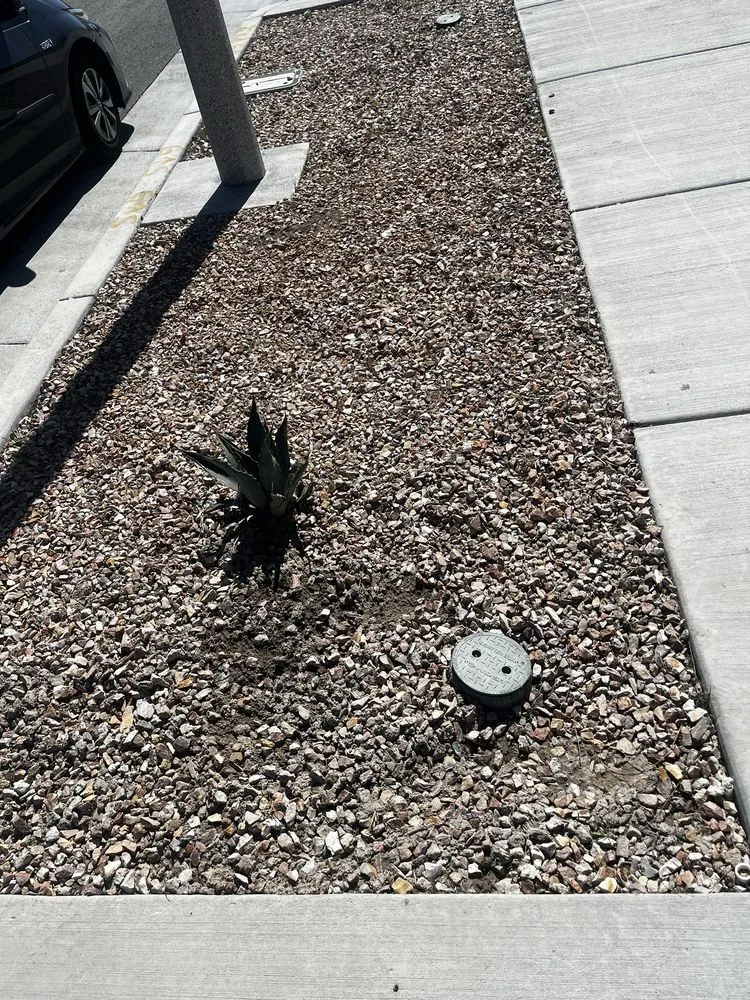 Top-rated garden landscaping for beautiful yards across Lancaster, CA - Agro-Tech Landscape Construction