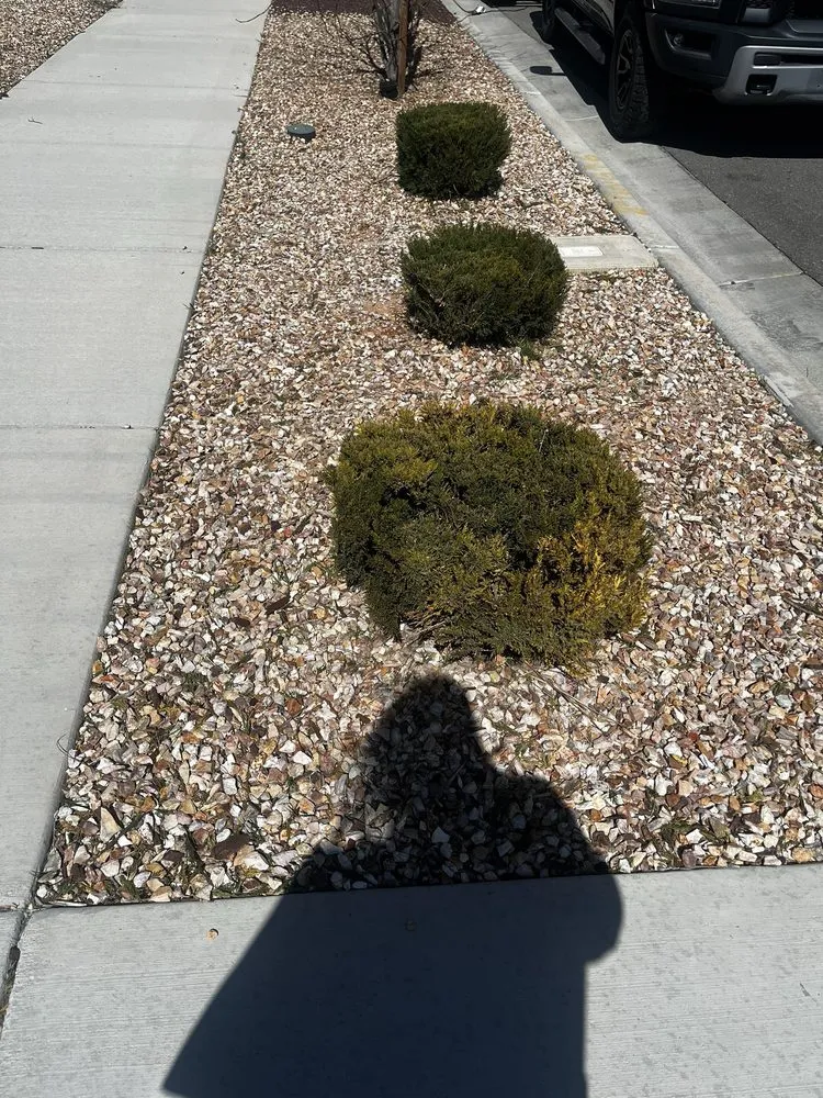 Custom lawn care service for year-round maintenance in Lancaster, CA by Agro-Tech Landscape Construction