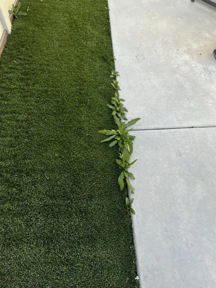 Affordable lawn mowing service in Lancaster, CA - Agro-Tech Landscape Construction