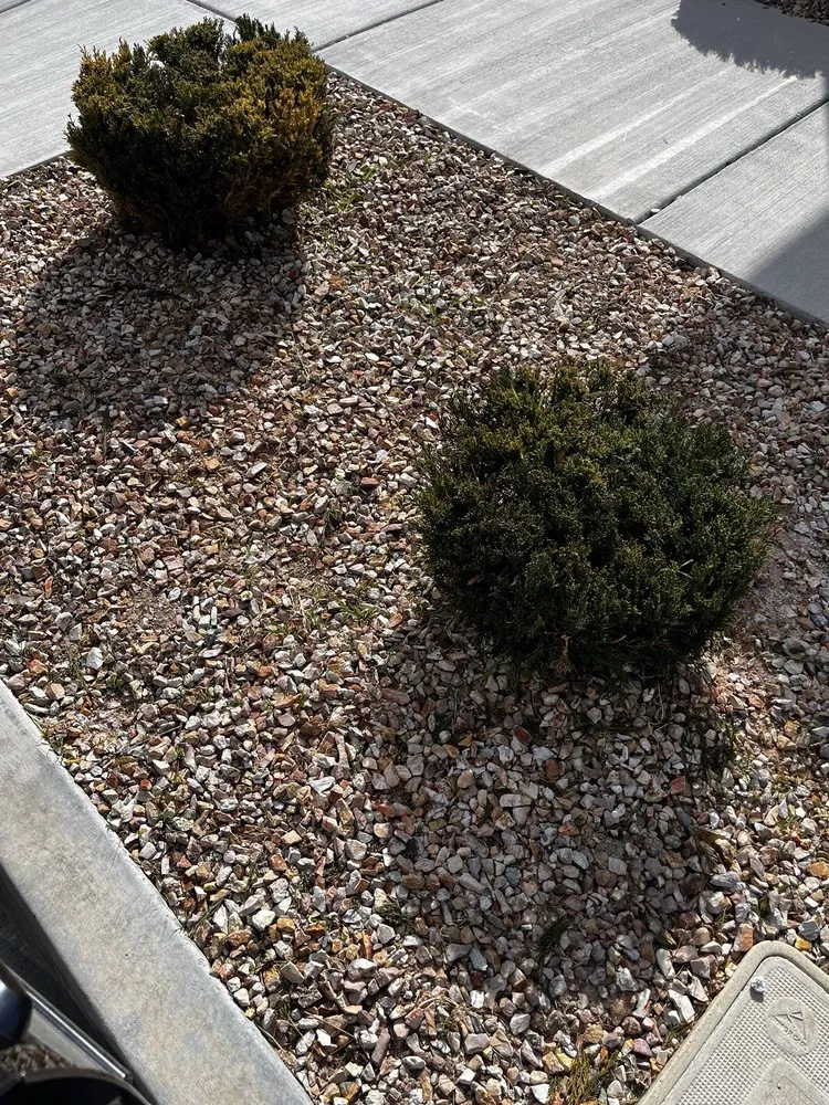 Local yard maintenance near you in Lancaster, CA by Agro-Tech Landscape Construction