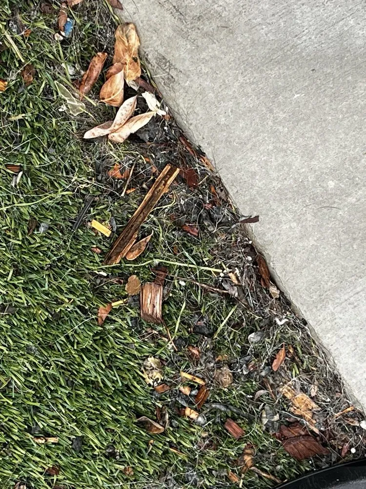 Professional yard cleanup service in Lancaster, CA - Agro-Tech Landscape Construction