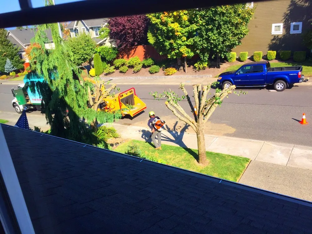 Local landscape design for year-round maintenance across Federal Way, WA - Agro Tree Service