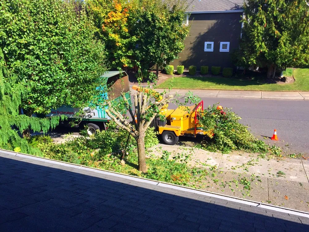 Custom landscaping services near you across Federal Way, WA - Agro Tree Service