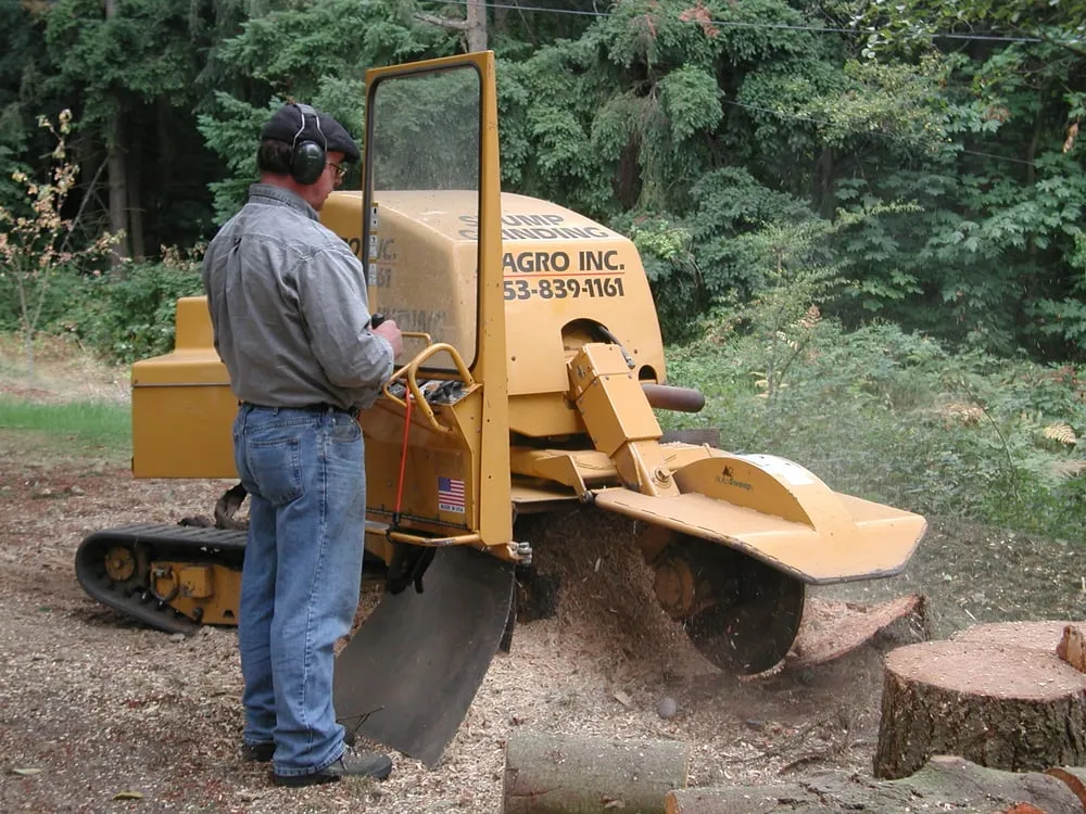 Affordable residential landscaping for beautiful yards across Federal Way, WA - Agro Tree Service