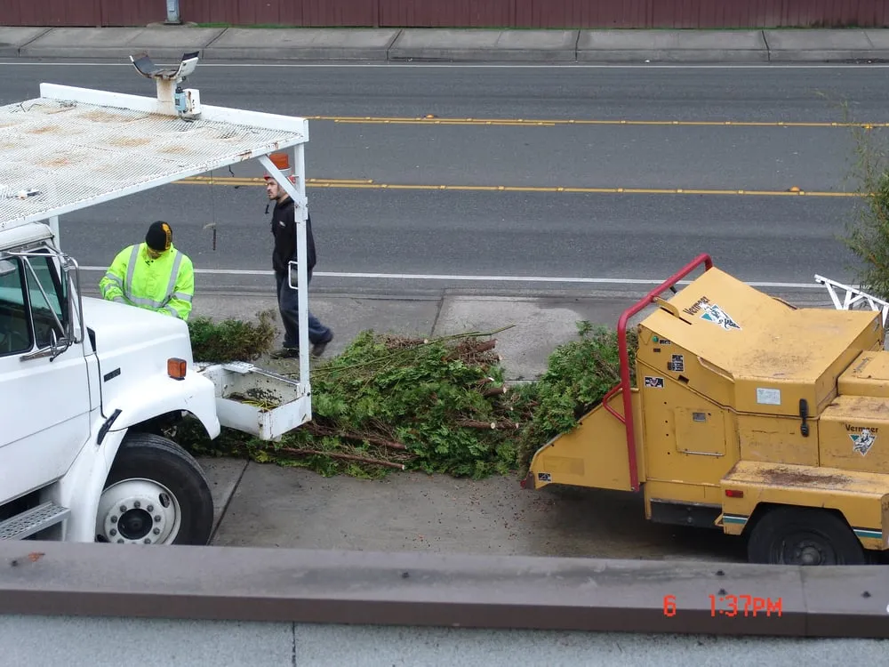 Trusted landscape design experts serving Federal Way, WA - Agro Tree Service