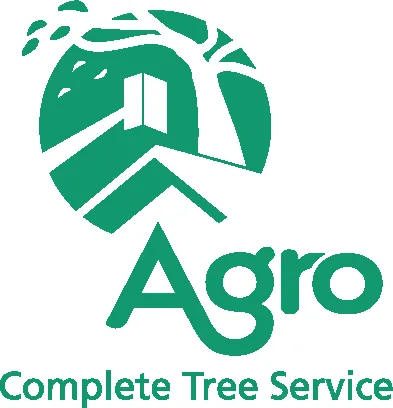 Reliable outdoor landscaping experts serving Federal Way, WA - Agro Tree Service