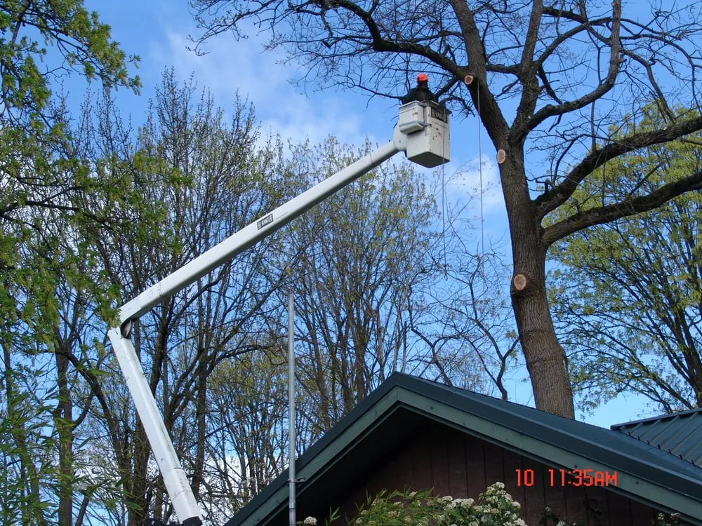 Top-rated landscaping services experts serving Federal Way, WA - Agro Tree Service