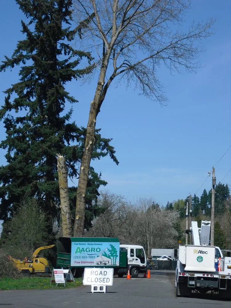Top-rated residential landscaping for homes in Federal Way, WA by Agro Tree Service