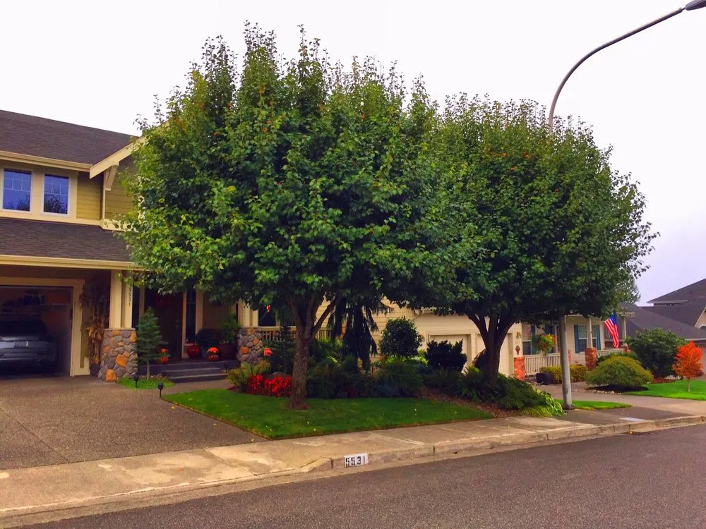 Expert landscape design for year-round maintenance across Federal Way, WA - Agro Tree Service