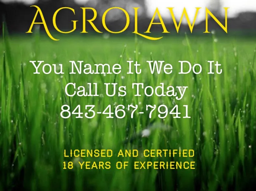 Trusted landscape design for outdoor upgrades across Little River, SC - Agrolawn