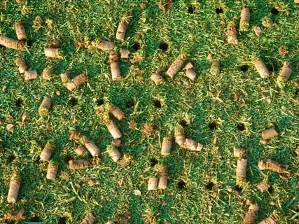 Trusted outdoor landscaping in Chesapeake, VA by Agronomic Lawn Management