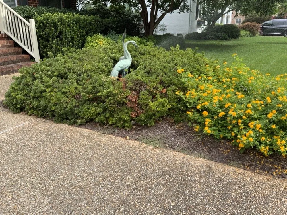 Custom yard maintenance in Chesapeake, VA by Agronomic Lawn Management