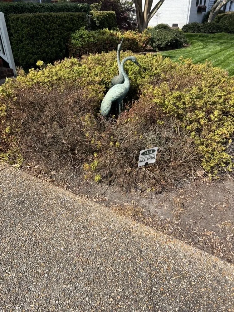 Expert landscape installation for residential properties across Chesapeake, VA - Agronomic Lawn Management