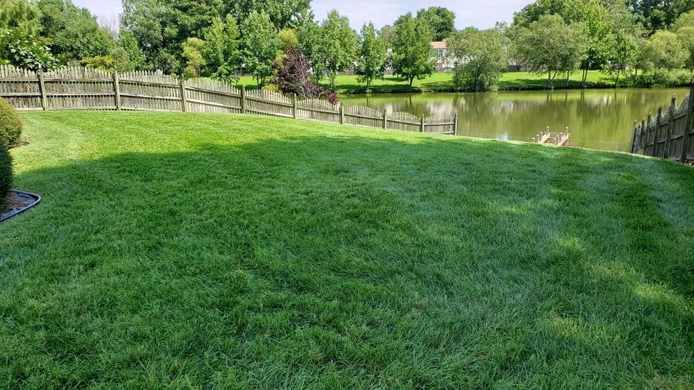 Local landscape design for homes across Chesapeake, VA - Agronomic Lawn Management