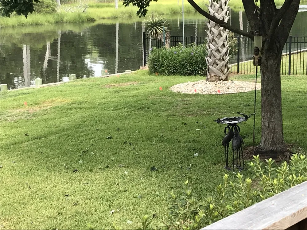 Top-rated lawn care service for residential properties in Chesapeake, VA by Agronomic Lawn Management