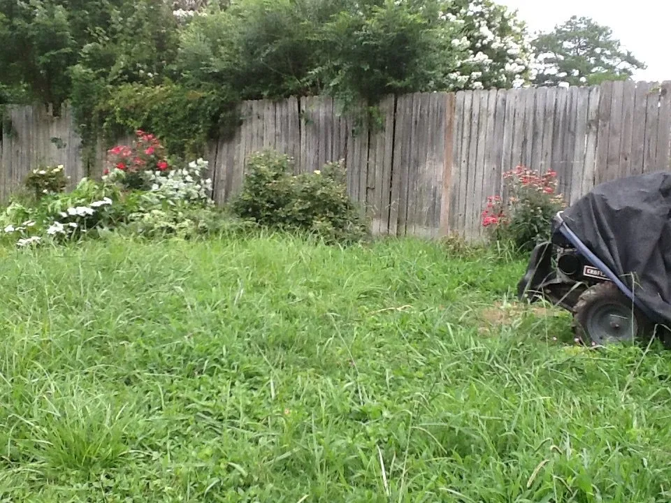 Custom landscape design in Chesapeake, VA - Agronomic Lawn Management