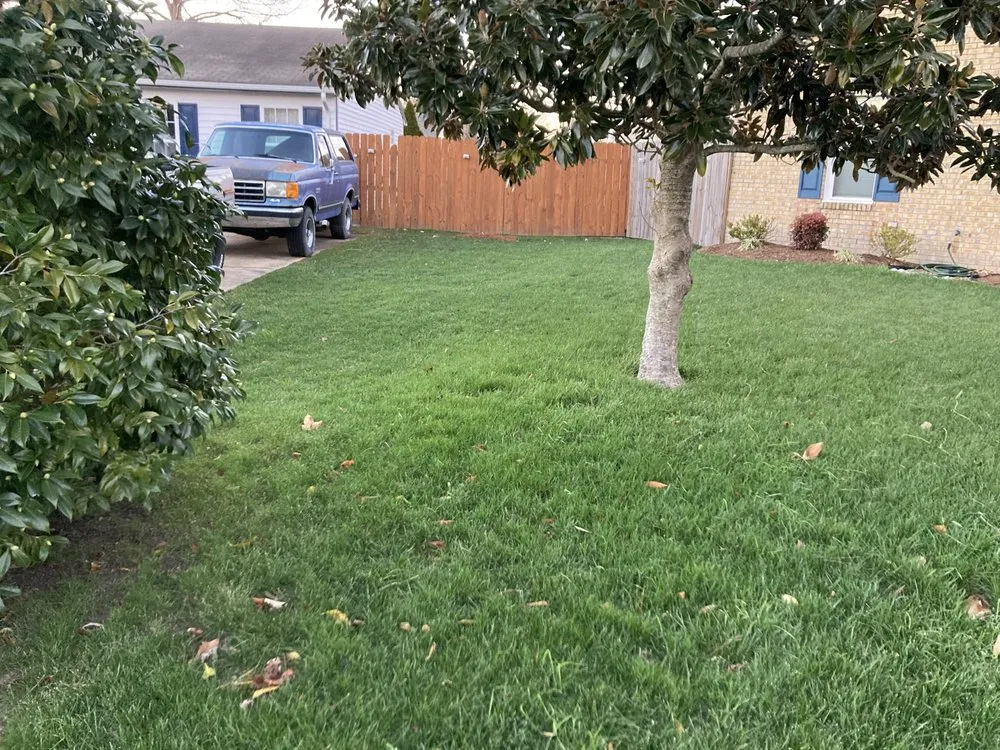 Expert lawn care service in Chesapeake, VA by Agronomic Lawn Management