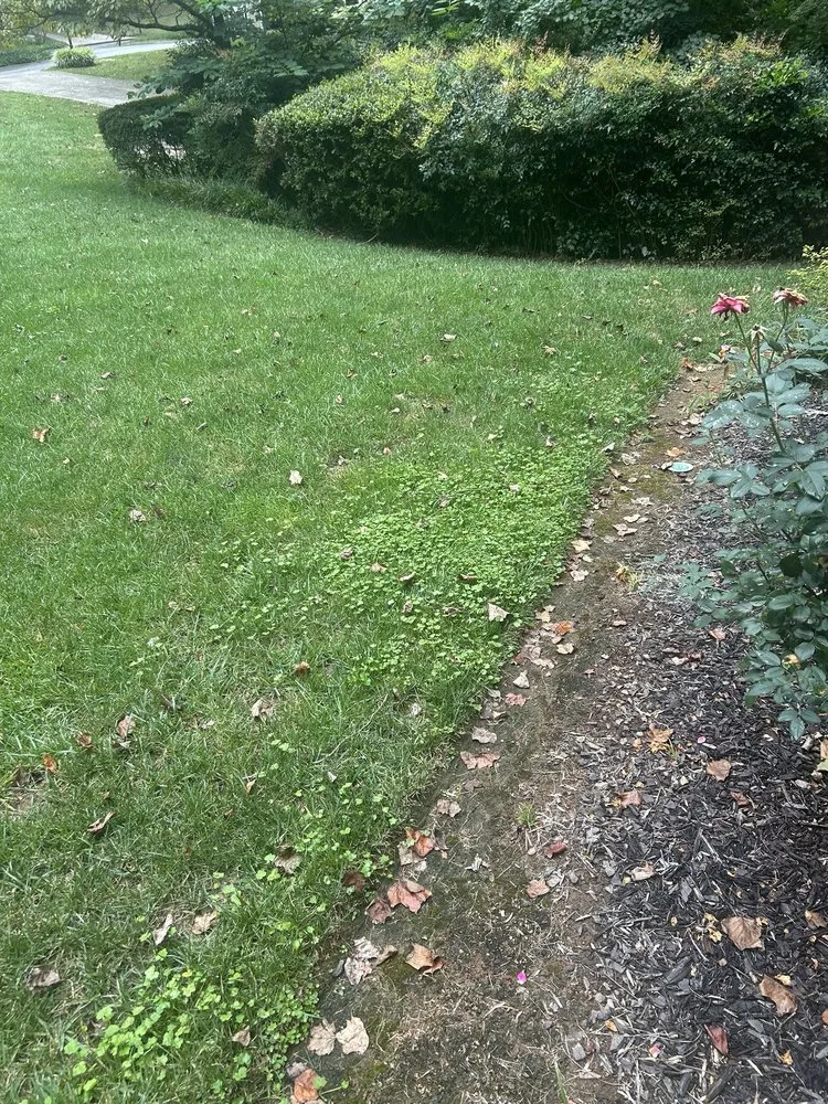 Affordable landscape design near you across Woodstock, GA - Agropro Lawn Care Specialists