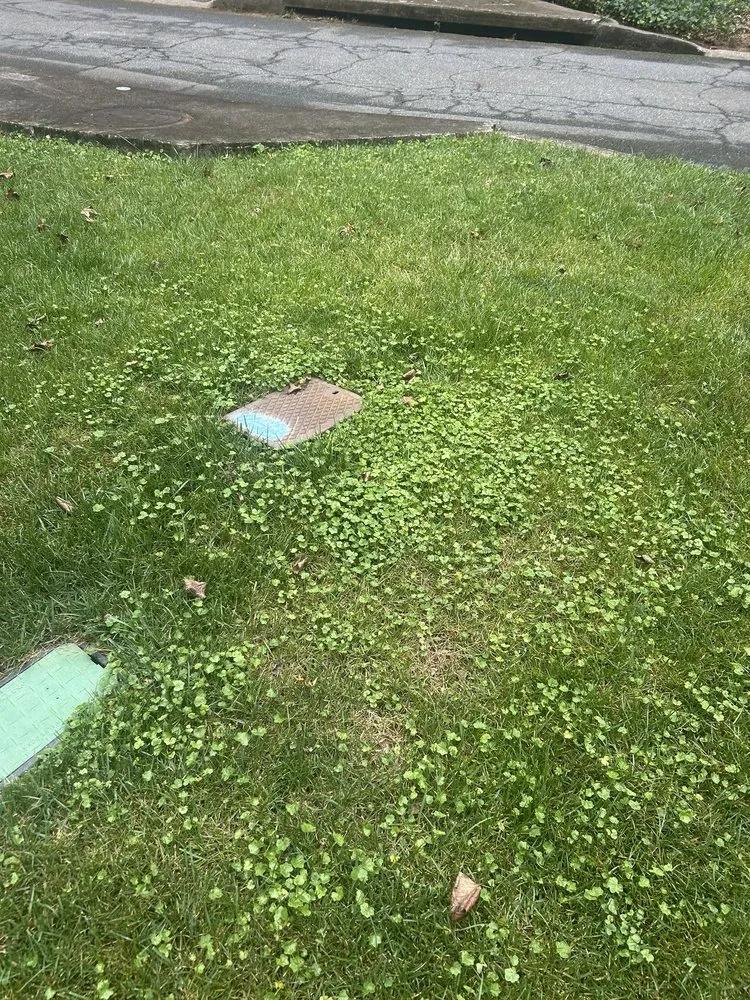 Trusted residential landscaping experts serving Woodstock, GA - Agropro Lawn Care Specialists