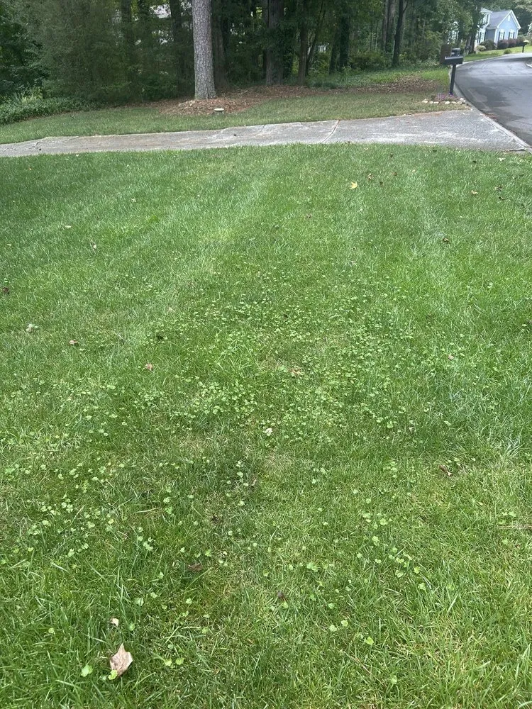 Local lawn mowing service for beautiful yards across Woodstock, GA - Agropro Lawn Care Specialists