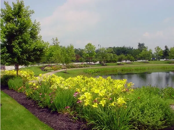 Custom yard cleanup service experts serving Lancaster, OH - Agroscapes