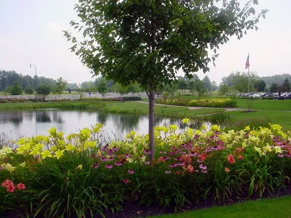 Reliable yard maintenance in Lancaster, OH - Agroscapes