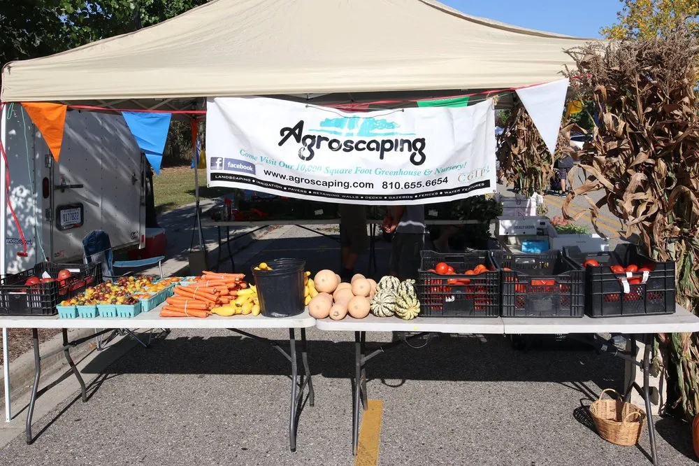 Trusted lawn care service in Swartz Creek, MI by Agroscaping