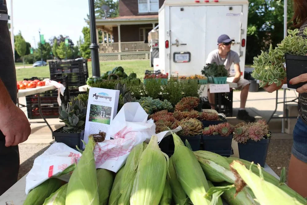 Professional landscape installation in Swartz Creek, MI by Agroscaping