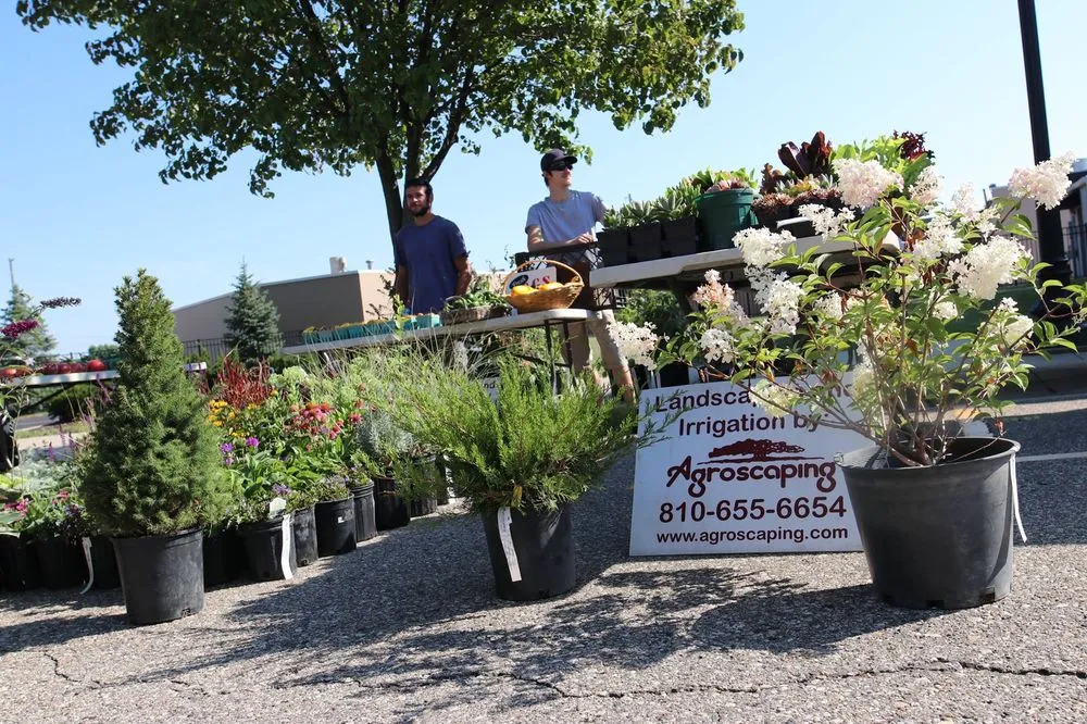 Custom landscaping services for homes across Swartz Creek, MI - Agroscaping