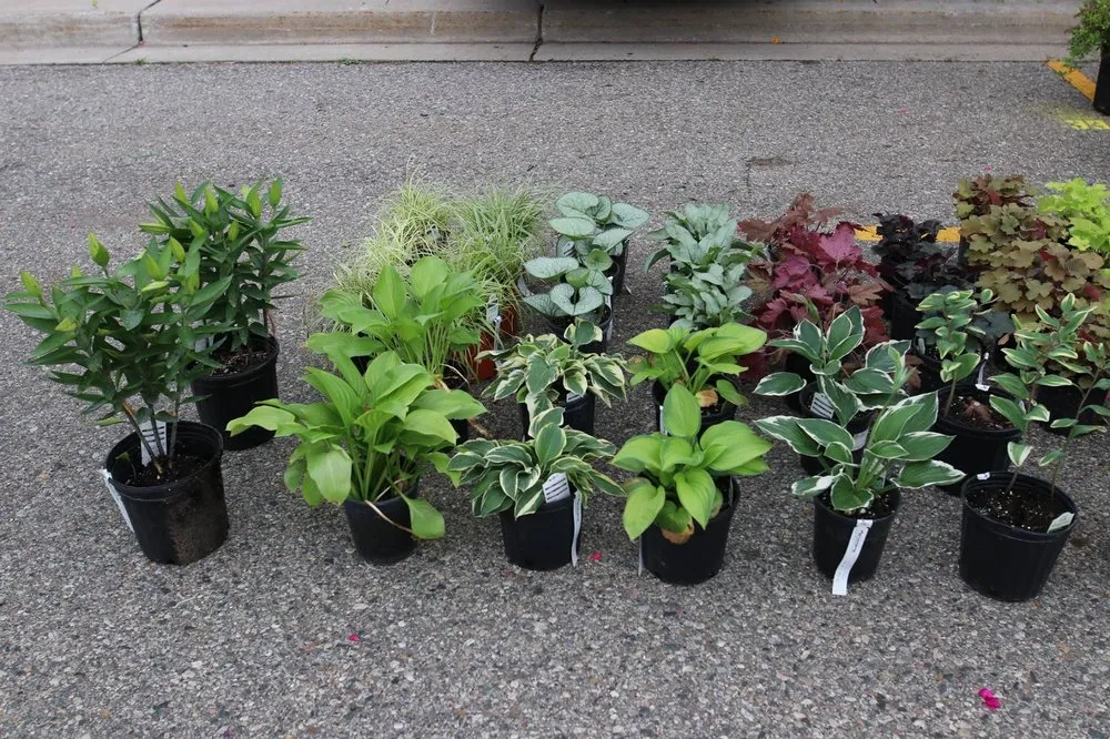 Professional yard cleanup service for beautiful yards in Swartz Creek, MI by Agroscaping