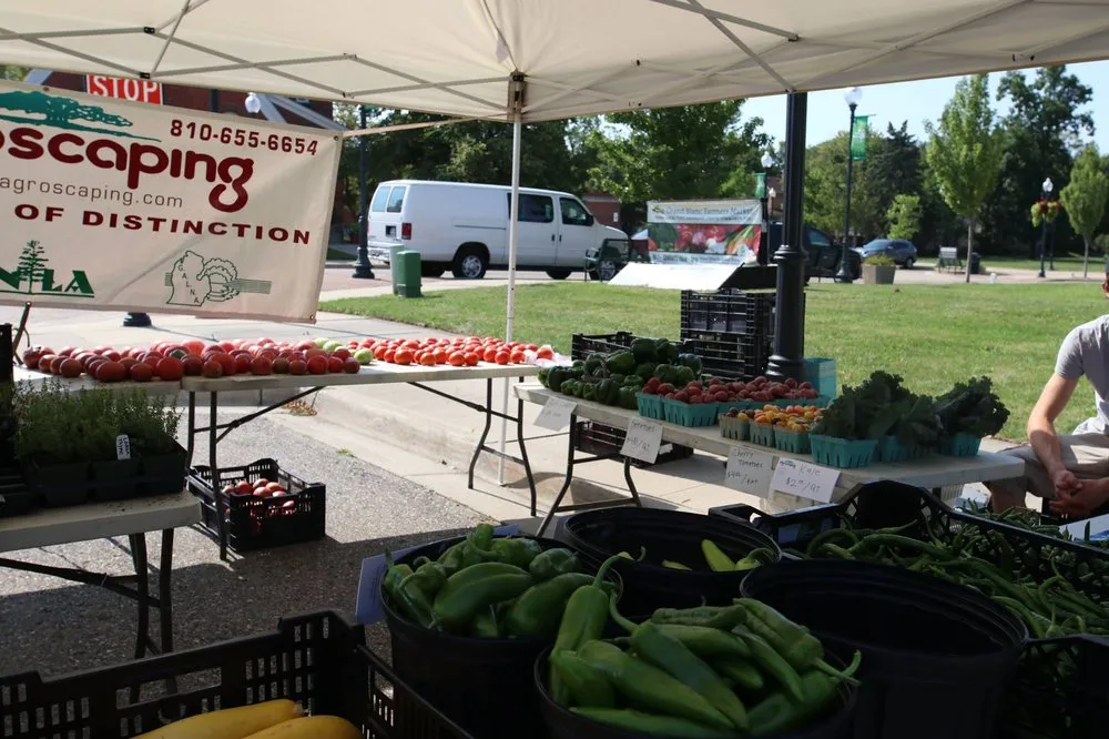 Trusted lawn mowing service for outdoor upgrades in Swartz Creek, MI by Agroscaping