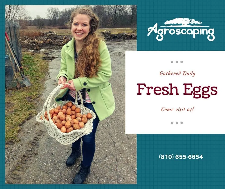 Expert outdoor landscaping for year-round maintenance in Swartz Creek, MI by Agroscaping