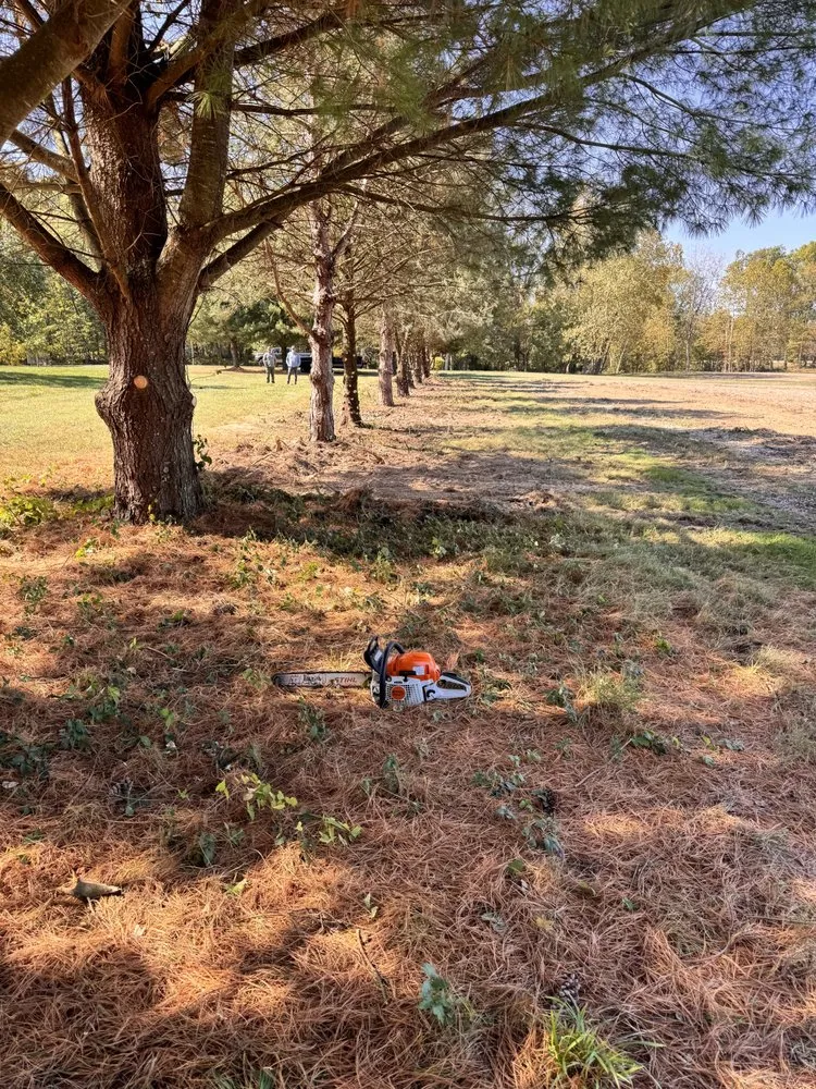 Affordable lawn mowing service with custom design across Brazil, IN - Agrovision