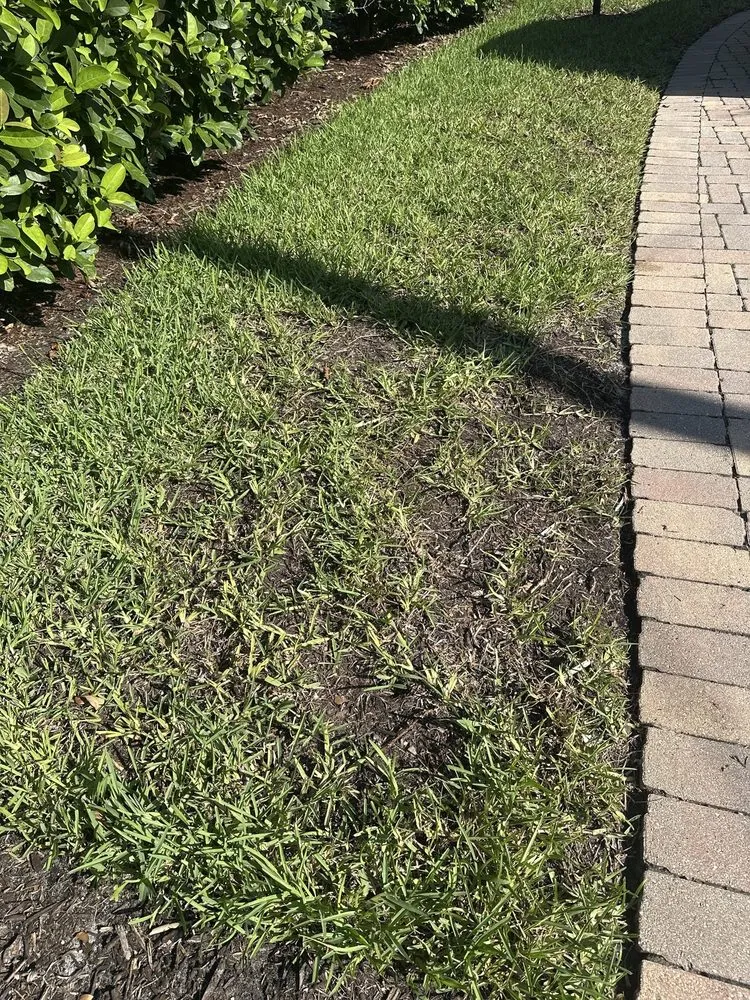 Trusted garden landscaping near you in Green Cove Springs, FL by Agrow Pro