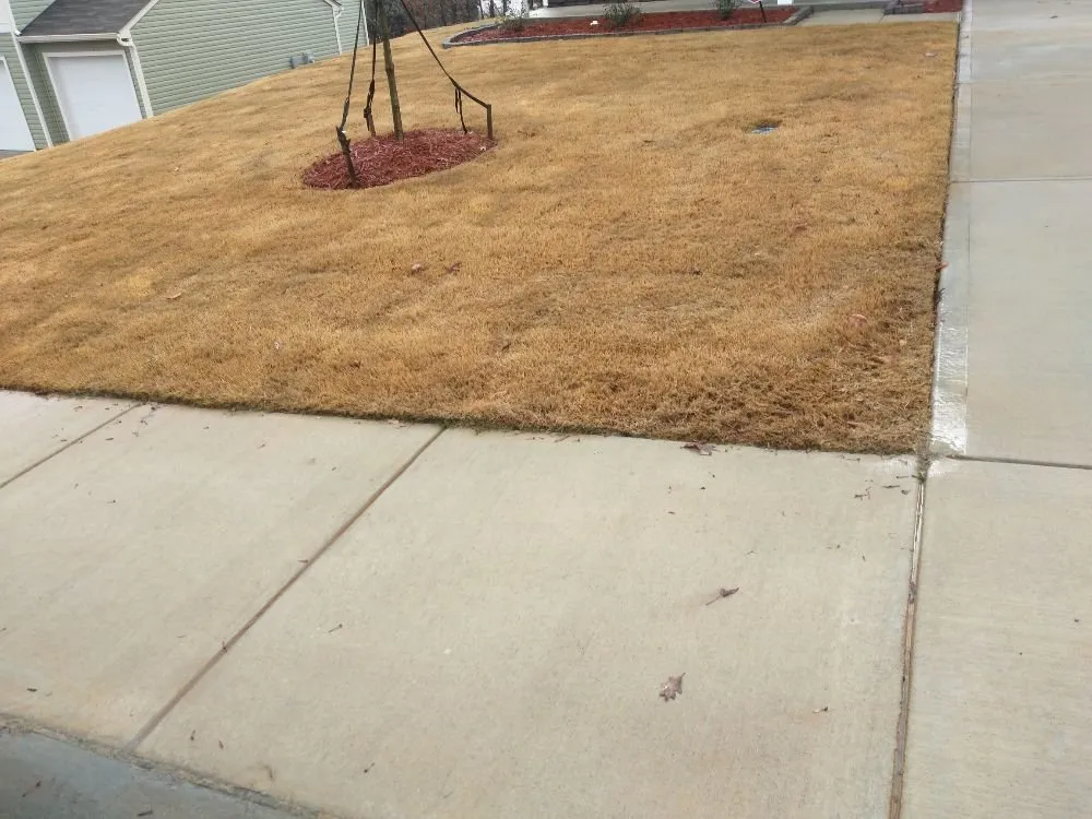 Custom landscaping services in Rock Hill, SC by A&G's Lawn Care & Property Maintenance