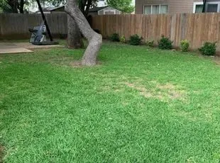Top-rated lawn mowing service with custom design across San Antonio, TX - AG’s Lawn Service