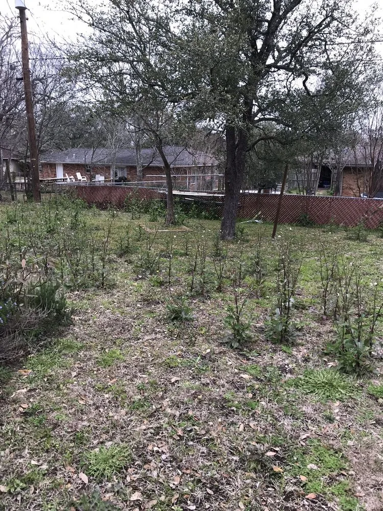 Custom lawn care service in College Station, TX by Agscapes