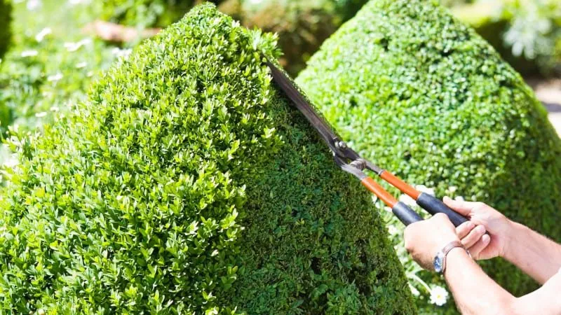 Professional lawn mowing service for residential properties in State College, PA by Agtr Landscaping