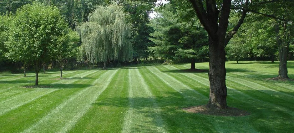 Custom landscape design for beautiful yards across State College, PA - Agtr Landscaping